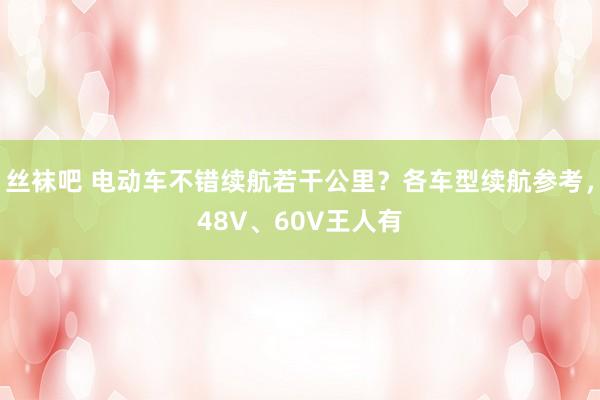 丝袜吧 电动车不错续航若干公里？各车型续航参考，48V、60V王人有