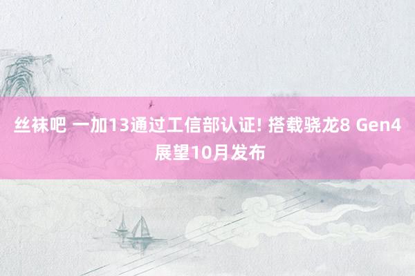 丝袜吧 一加13通过工信部认证! 搭载骁龙8 Gen4 展望10月发布