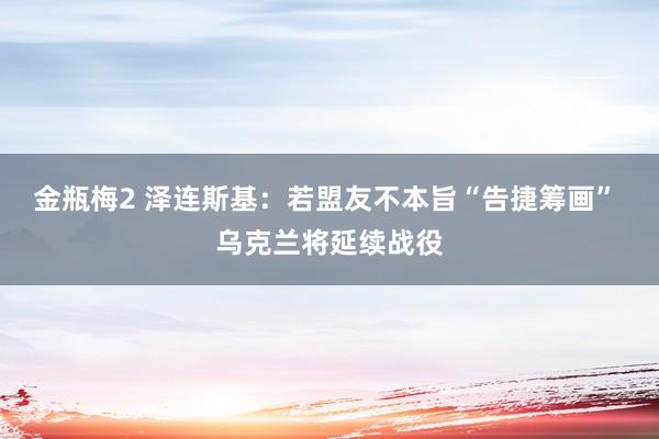 金瓶梅2 泽连斯基：若盟友不本旨“告捷筹画” 乌克兰将延续战役