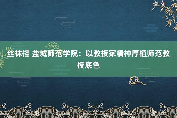 丝袜控 盐城师范学院：以教授家精神厚植师范教授底色