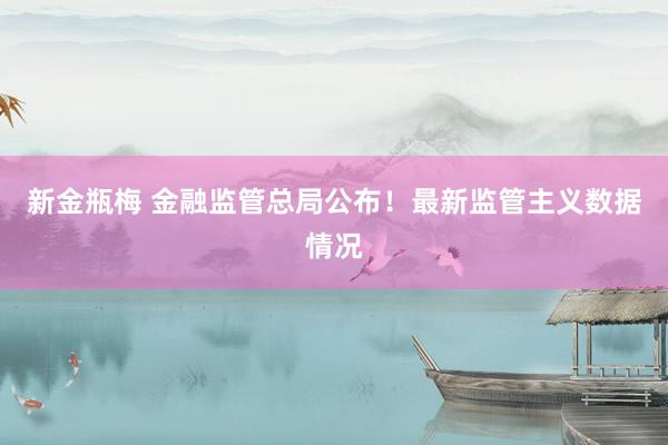 新金瓶梅 金融监管总局公布！最新监管主义数据情况