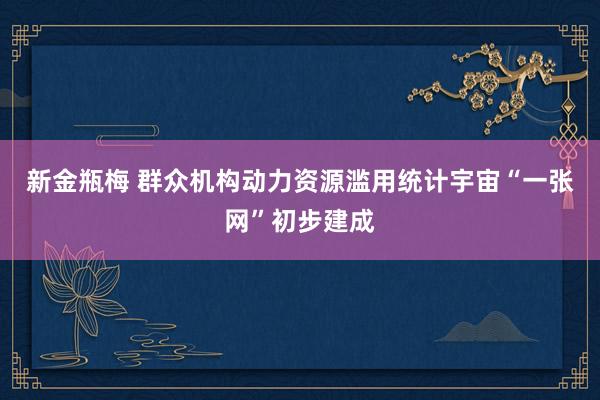 新金瓶梅 群众机构动力资源滥用统计宇宙“一张网”初步建成