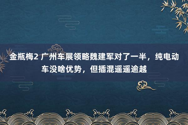 金瓶梅2 广州车展领略魏建军对了一半，纯电动车没啥优势，但插混遥遥逾越