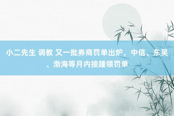 小二先生 调教 又一批券商罚单出炉，中信、东吴、渤海等月内接踵领罚单