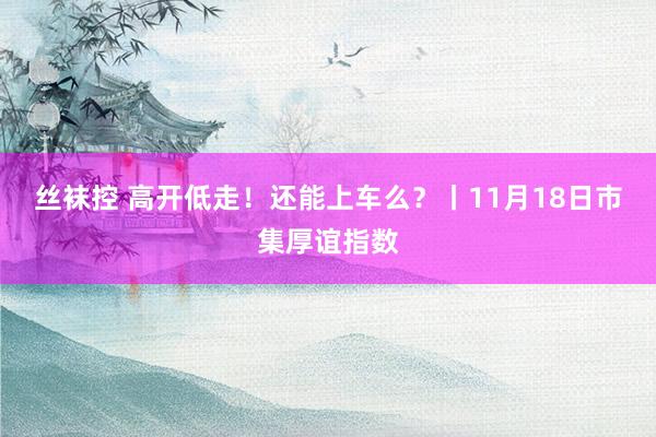 丝袜控 高开低走！还能上车么？丨11月18日市集厚谊指数