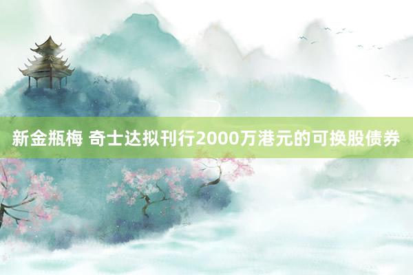 新金瓶梅 奇士达拟刊行2000万港元的可换股债券