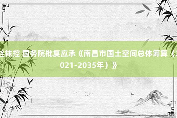 丝袜控 国务院批复应承《南昌市国土空间总体筹算（2021-2035年）》