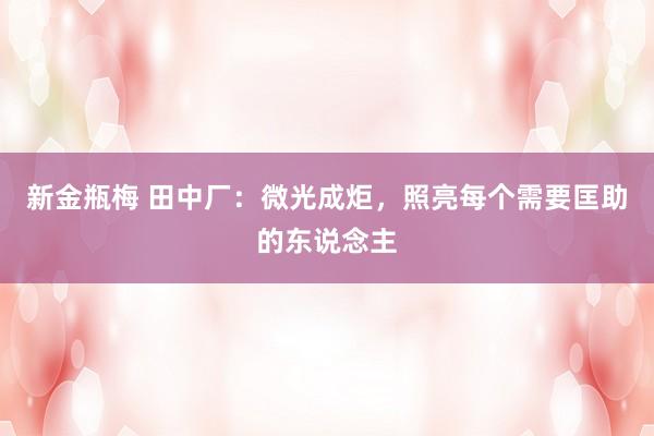 新金瓶梅 田中厂：微光成炬，照亮每个需要匡助的东说念主