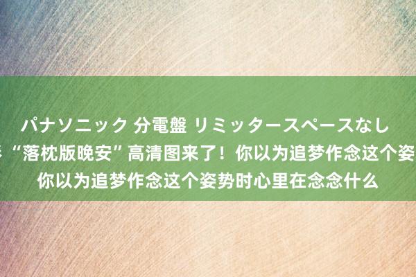 パナソニック 分電盤 リミッタースペースなし 露出・半埋込両用形 “落枕版晚安”高清图来了！你以为追梦作念这个姿势时心里在念念什么