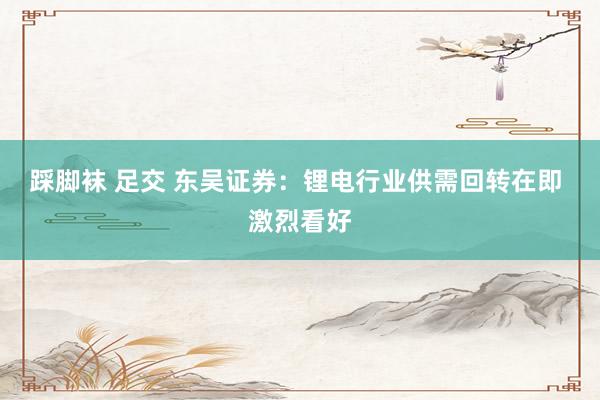 踩脚袜 足交 东吴证券：锂电行业供需回转在即 激烈看好