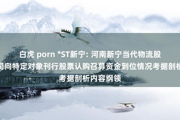 白虎 porn *ST新宁: 河南新宁当代物流股份有限公司向特定对象刊行股票认购召募资金到位情况考据剖析内容纲领