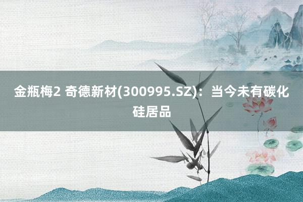 金瓶梅2 奇德新材(300995.SZ)：当今未有碳化硅居品