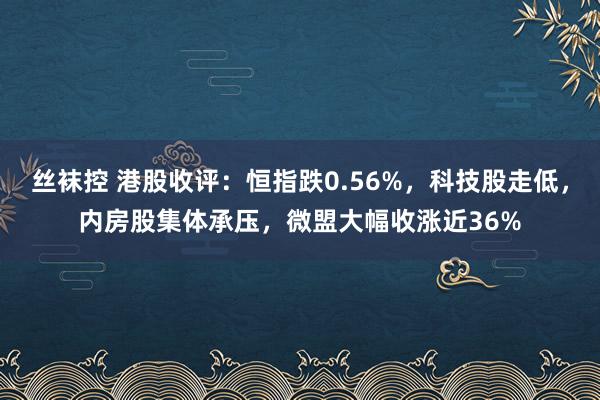 丝袜控 港股收评：恒指跌0.56%，科技股走低，内房股集体承压，微盟大幅收涨近36%