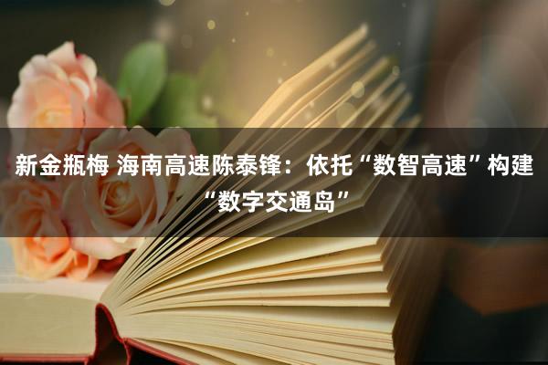 新金瓶梅 海南高速陈泰锋：依托“数智高速”构建“数字交通岛”