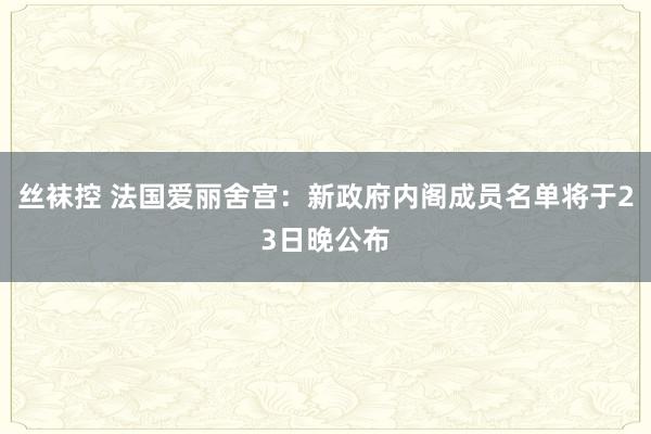 丝袜控 法国爱丽舍宫：新政府内阁成员名单将于23日晚公布