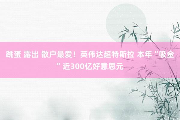 跳蛋 露出 散户最爱！英伟达超特斯拉 本年“吸金”近300亿好意思元