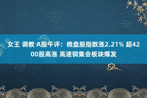 女王 调教 A股午评：微盘股指数涨2.21% 超4200股高涨 高速铜集会板块爆发