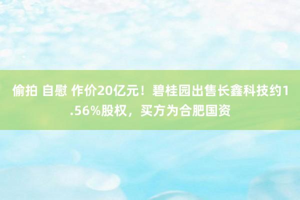 偷拍 自慰 作价20亿元！碧桂园出售长鑫科技约1.56%股权，买方为合肥国资