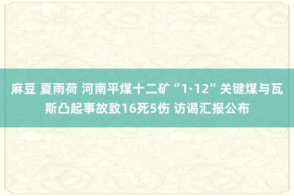 麻豆 夏雨荷 河南平煤十二矿“1·12”关键煤与瓦斯凸起事故致16死5伤 访谒汇报公布