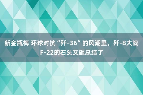 新金瓶梅 环球对抗“歼-36”的风潮里，歼-8大战F-22的石头又砸总结了