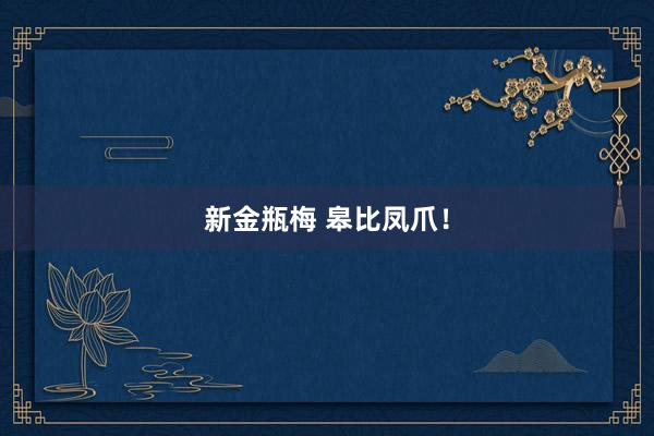 新金瓶梅 皋比凤爪！