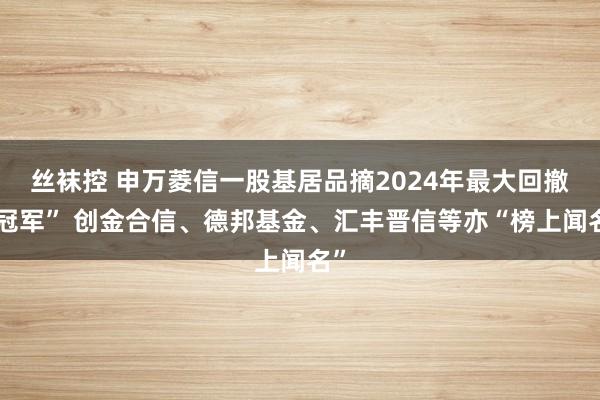 丝袜控 申万菱信一股基居品摘2024年最大回撤“冠军” 创金合信、德邦基金、汇丰晋信等亦“榜上闻名”