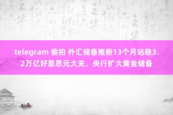 telegram 偷拍 外汇储备推断13个月站稳3.2万亿好意思元大关，央行扩大黄金储备