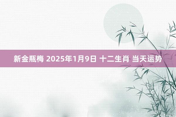 新金瓶梅 2025年1月9日 十二生肖 当天运势