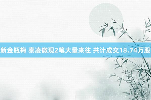 新金瓶梅 泰凌微现2笔大量来往 共计成交18.74万股