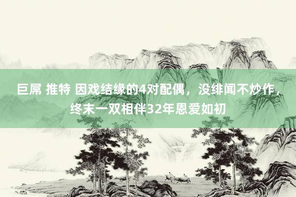 巨屌 推特 因戏结缘的4对配偶，没绯闻不炒作，终末一双相伴32年恩爱如初