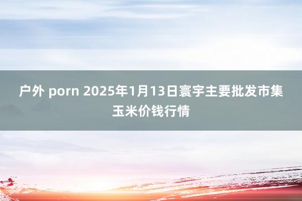 户外 porn 2025年1月13日寰宇主要批发市集玉米价钱行情
