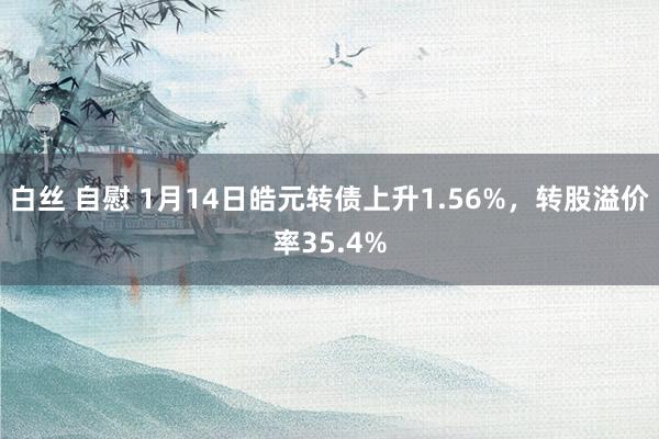 白丝 自慰 1月14日皓元转债上升1.56%，转股溢价率35.4%