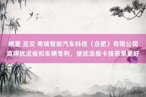 楠里 足交 奇瑞智能汽车科技（合肥）有限公司赢得扰流板和车辆专利，使扰流板卡接恶果更好