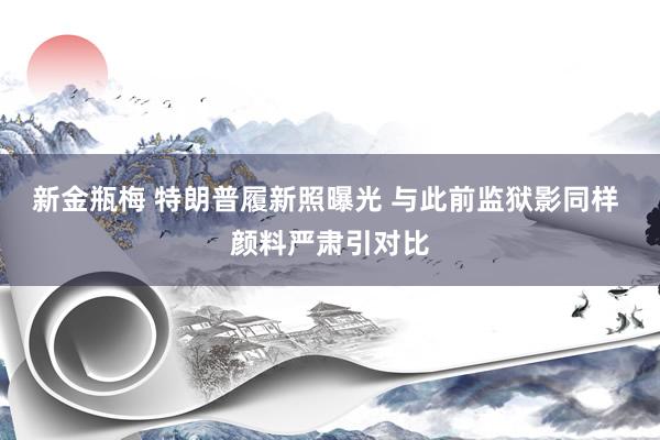新金瓶梅 特朗普履新照曝光 与此前监狱影同样 颜料严肃引对比
