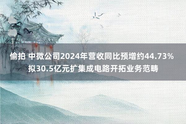 偷拍 中微公司2024年营收同比预增约44.73% 拟30.5亿元扩集成电路开拓业务范畴