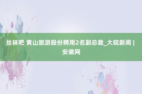 丝袜吧 黄山旅游股份聘用2名副总裁_大皖新闻 | 安徽网