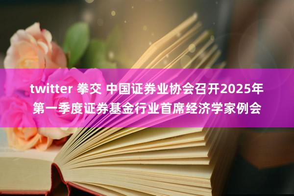 twitter 拳交 中国证券业协会召开2025年第一季度证券基金行业首席经济学家例会