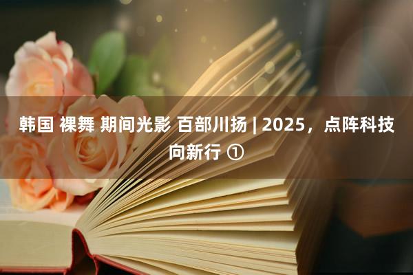 韩国 裸舞 期间光影 百部川扬 | 2025，点阵科技向新行 ①