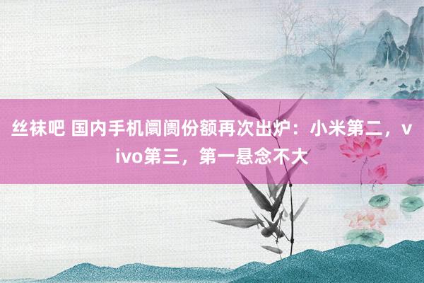丝袜吧 国内手机阛阓份额再次出炉：小米第二，vivo第三，第一悬念不大
