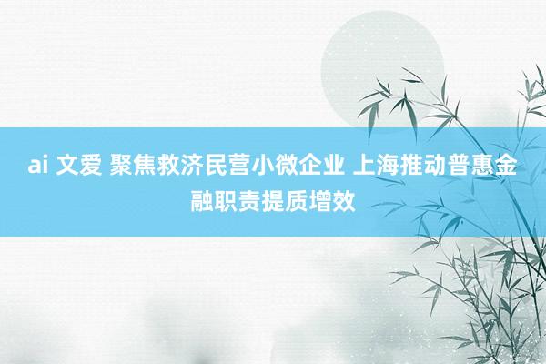 ai 文爱 聚焦救济民营小微企业 上海推动普惠金融职责提质增效
