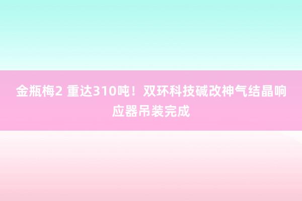 金瓶梅2 重达310吨！双环科技碱改神气结晶响应器吊装完成
