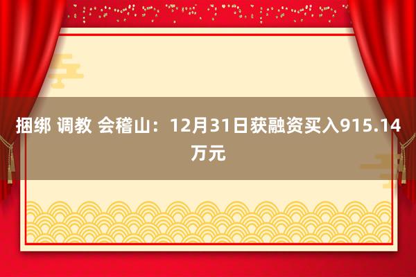 捆绑 调教 会稽山：12月31日获融资买入915.14万元