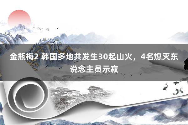 金瓶梅2 韩国多地共发生30起山火，4名熄灭东说念主员示寂