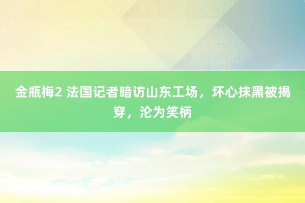 金瓶梅2 法国记者暗访山东工场，坏心抹黑被揭穿，沦为笑柄