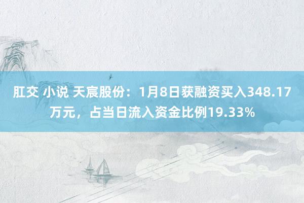 肛交 小说 天宸股份：1月8日获融资买入348.17万元，占当日流入资金比例19.33%