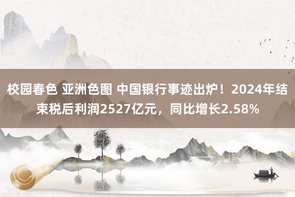 校园春色 亚洲色图 中国银行事迹出炉！2024年结束税后利润2527亿元，同比增长2.58%