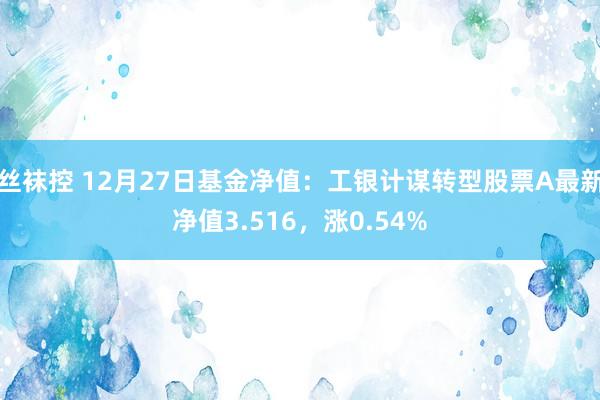 丝袜控 12月27日基金净值：工银计谋转型股票A最新净值3.516，涨0.54%
