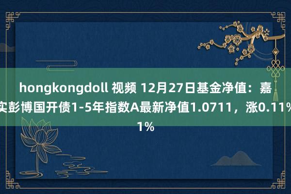 hongkongdoll 视频 12月27日基金净值：嘉实彭博国开债1-5年指数A最新净值1.0711，涨0.11%