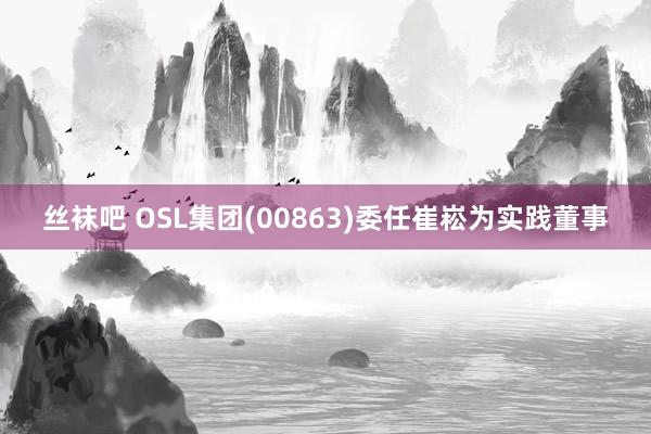 丝袜吧 OSL集团(00863)委任崔崧为实践董事