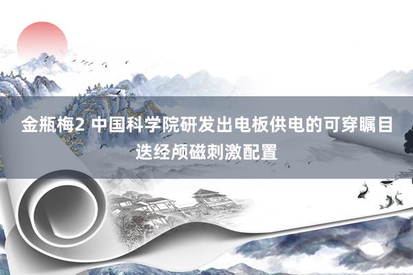 金瓶梅2 中国科学院研发出电板供电的可穿瞩目迭经颅磁刺激配置